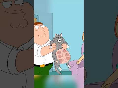 Peter brings home a stray cat. 🤣🔥😭 #familyguy #familyguyclips #funny #trending #cat #cats