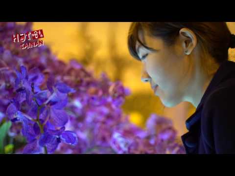 《Hot Tainan 哈臺南》第三集 單元-臺灣國際蘭展  CC字幕版
