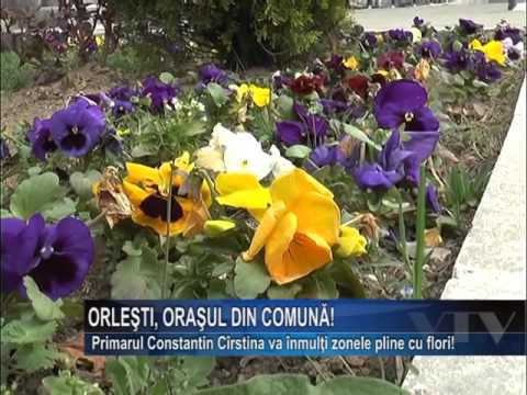 Orlesti, orasul din comuna