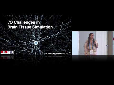École Polytechnique Fédérale de Lausanne (EPFL) - Customer Success Story (Judit Planas - Postdoctoral Researcher)