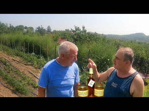 MOJ I OSKAROV MED NAJBOLJI U SLOVENIJI A RAKIJU MEDOVAČU KOJU PROIZVODIMO LIJEČI KAŽU I RAK RANU