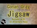 Jigsaw Karaoke - Conan Gray Instrumental Lower Higher Female Original Key