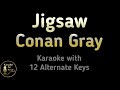 Jigsaw Karaoke Conan Gray Instrumental Lower Higher Female Original Key