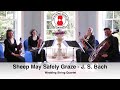 Sheep May Safely Graze (J. S. Bach) Wedding String Quartet