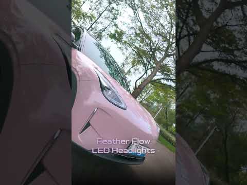 POV you found your dream car