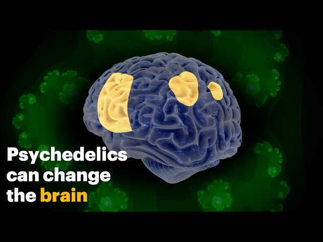 How Psychedelics Change the Brain SDDEFAULT Thumbnail