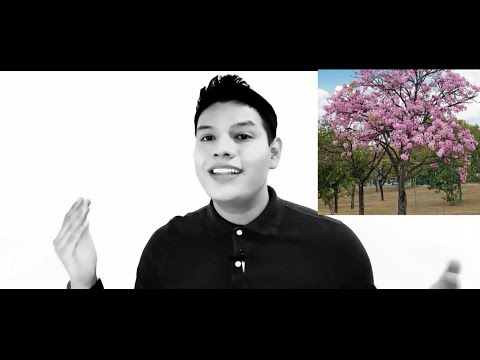 Maquilishuat en náhuat - Makwil iswat