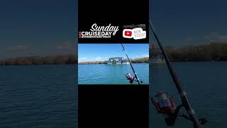 WAIMAKARIRI CRUISE #foryou #fypage #waimakariri #fishingvlog #nz