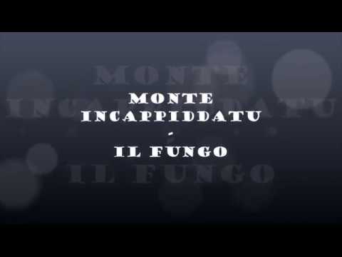 Monte Incappiddatu - Il Fungo