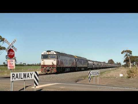 QUBE Broad Gauge Grain Train With G Class Diesel Locomotives - PoathTV Australian Railways Video