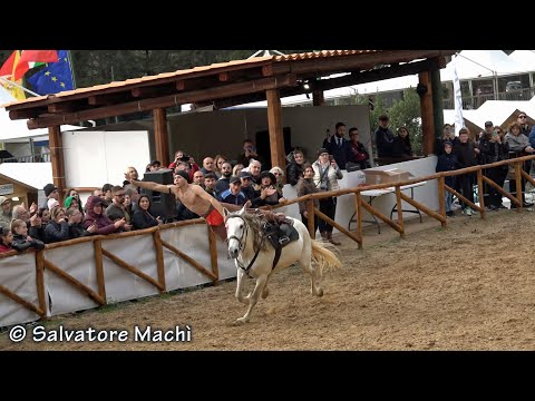 Palermo - Volteggio Acrobatico 2023