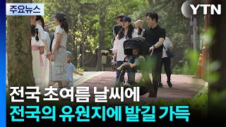 전국 초여름 날씨에 '꽃밭'과 '동물원'마다 발길 가득 / YTN