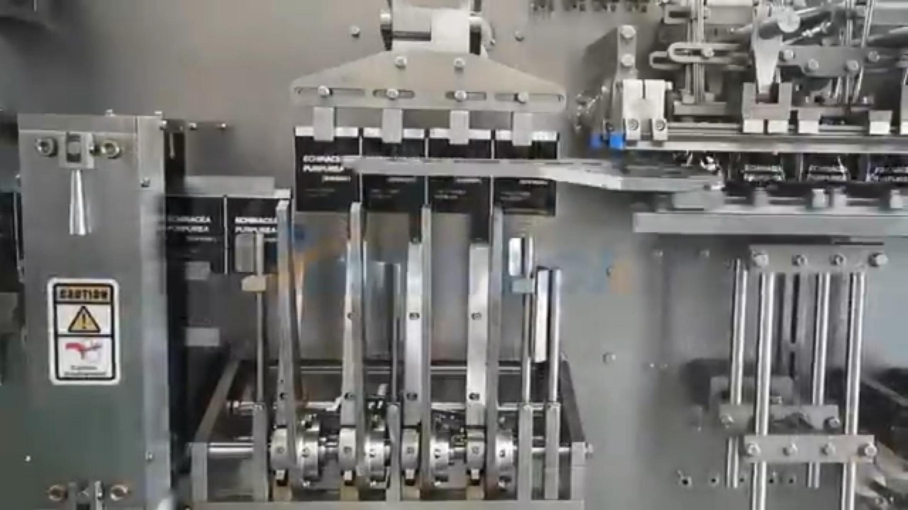 Automatic Premade Pouch Packing Machine | Acepack Horizontal Packaging