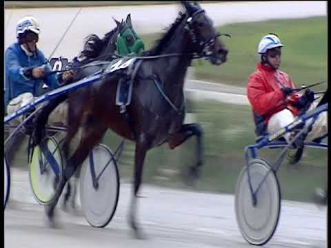 Trotto 25/11/2018 - 3ª corsa