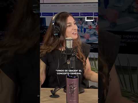 Vendimia 2026 en Santiago del Estero -  #infostream