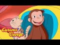 Curious George George Learns About The Human Body Kids Cartoon Kids Movies Videos For Kids