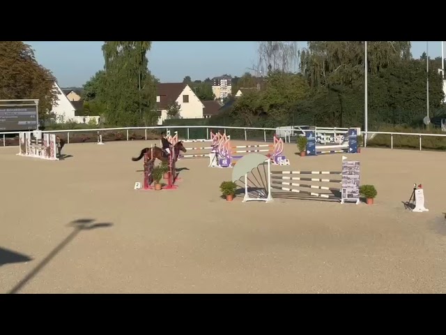 Jument de sport 140/145