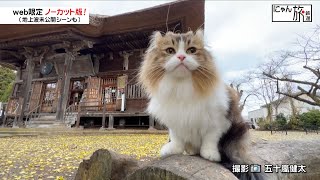 Vol.187「にゃん旅鉄道」恵隆寺に来たにゃ！