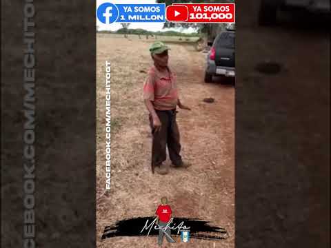 RECORDAR ES VOLVER A VIVIR (MECHITO NO RECIBE BONO FAMILIA) 😓