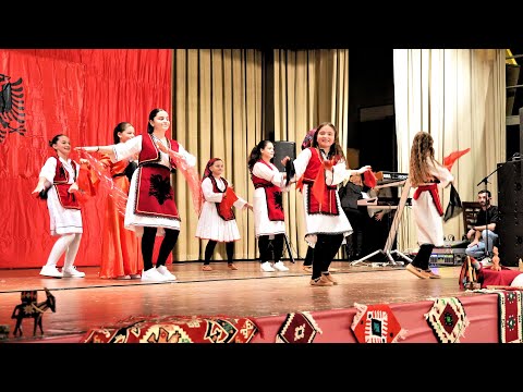 LAPSH Zürich - Vallja e vajzave - Grupi i nxënëseve