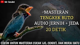 Download lagu NGERIII..!!! MASTERAN TENGKEK BUTO AUDIO JERNIH   JEDA 20 DETIK !! mp3 Download lagu NGERIII..!!! MASTERAN TENGKEK BUTO AUDIO JERNIH   JEDA 20 DETIK !! mp3