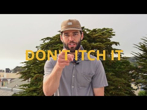 How to Identify, Treat & Cure Poison Ivy, Poison Oak, Poison Sumac