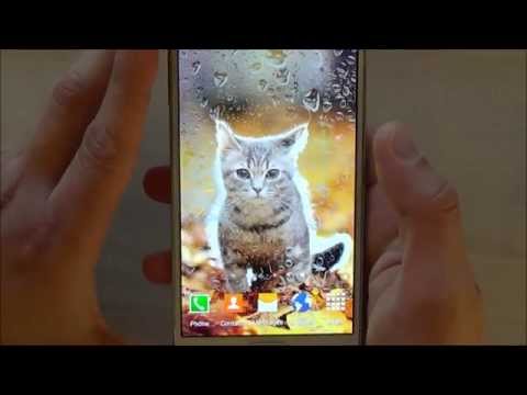 Cute Animals Live Wallpaper Video