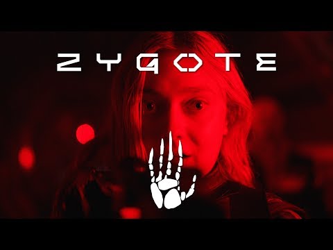 Zygote