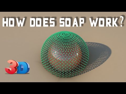 How does soap work? (3D Animation)