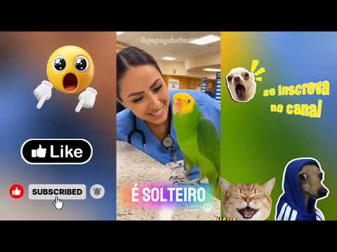 "TENTE NÃO RIR: Papagaios Tagarelas e Surtados #2 (Eles estão piores!)"