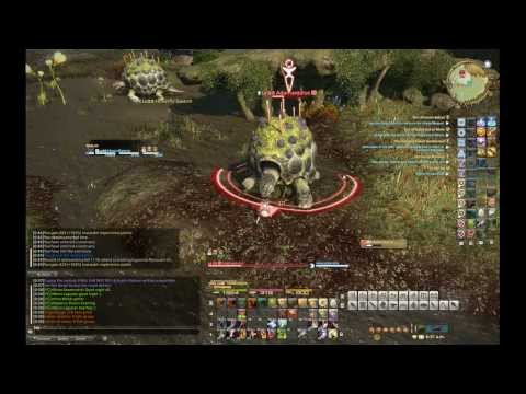 Final Fantasy XIV A Realm Reborn - Warrior Hunting Log Lvl 35