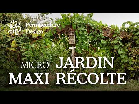 Comment créer un micro jardin-forêt productif !