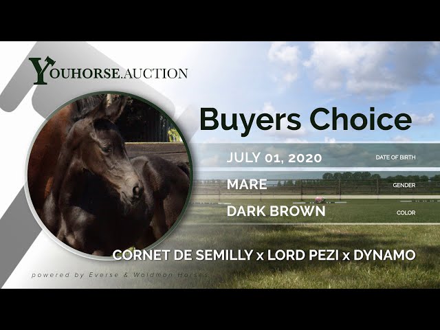 Buyers Choice