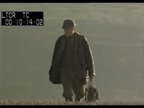 1970s Rural England | Pheasant rearing | Pheasant shoot | Documentary report | The shoot | 1978