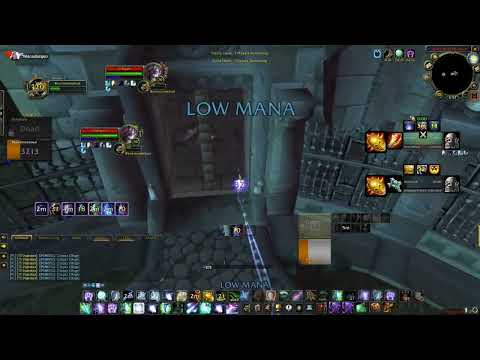 Feral/rogue tbc 2v2 arena highlights of the day