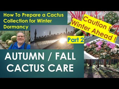 AUTUMN/FALL CACTUS CARE: How To Prepare Collection of #cacti & #succulents For Winter Dormancy PART2