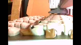 Ptakopysk - Postavička