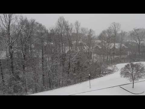 Our first real snowfall this year (1-31-2021`)