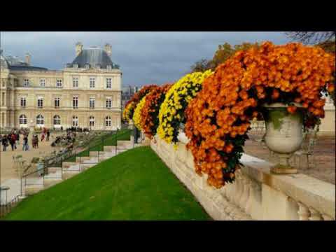 PARIS  IN  THE  FALL  !