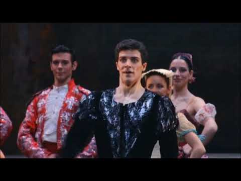Roberto Bolle and Polina Semionova - Black Swan pas de deux (Vladimir Burmeister version)