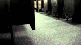 Pesega Samoan Ward Girls Singing "Forgiveness"