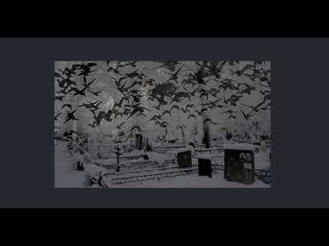 | CHERNOBURKV x CRASPORE - ZIMΛ | SLOWED |