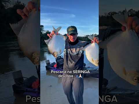 Pescaria em Guarantã do Norte em Mato Grosso .