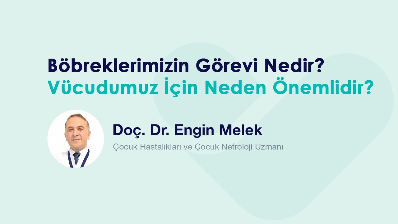 Böbreklerimizin Görevi Nedir? Vücudumuz İçin Neden Önemlidir?