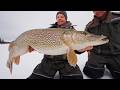 Ontario Monster Ice Fishing For Pike