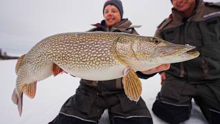 Ontario Monster! Ice Fishing For Pike