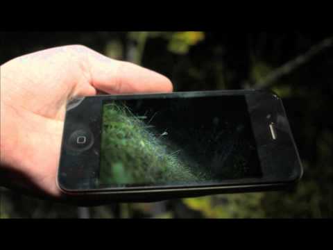 My Lupine Life - Episode 02 - Were's Mauricio