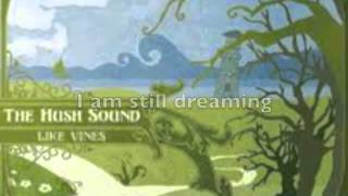 Don&#39;t Wake Me Up (lyrics) - by the Hush Sound