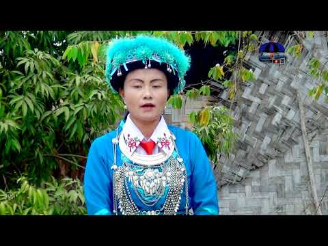 Mus ua hauj sam Vim tsis tau koj