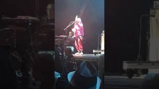 Captain Stupido - Thundercat (Live at The Armory)